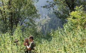 strain-hunters-india