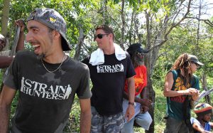 strain-hunters-jamaica